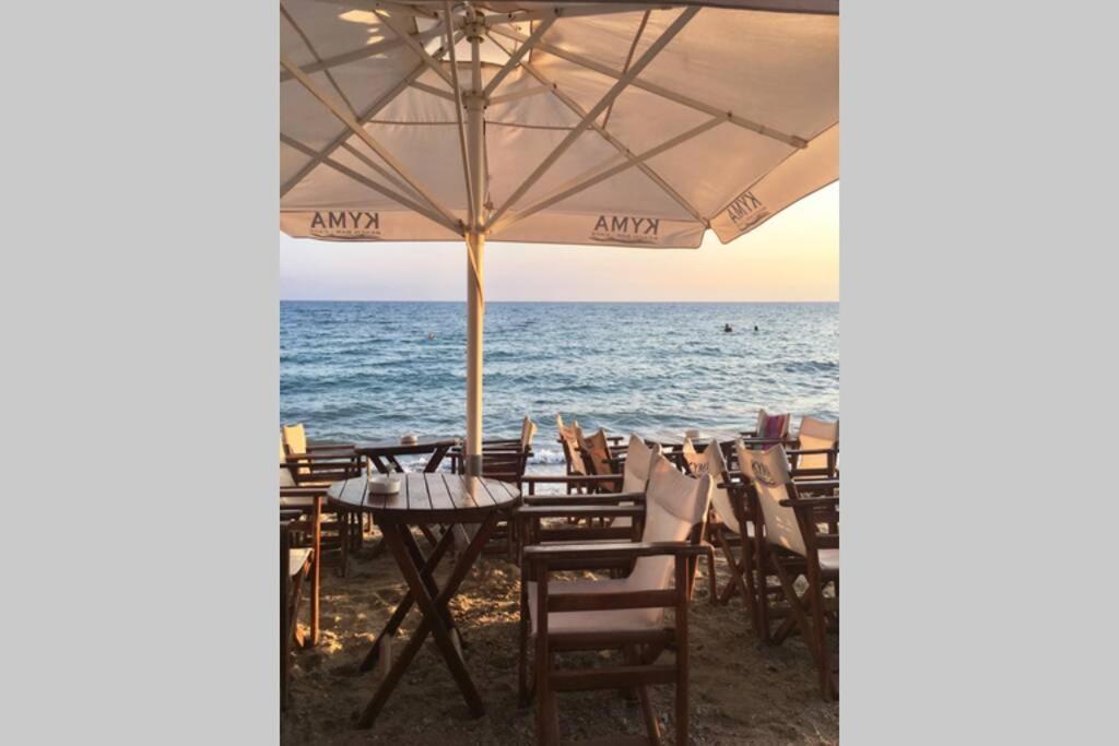 Palioura Eva Apartments מראה חיצוני תמונה